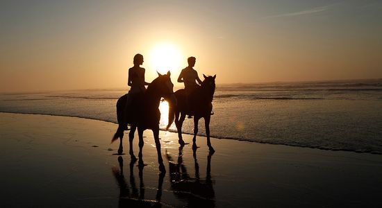 Horseback riding